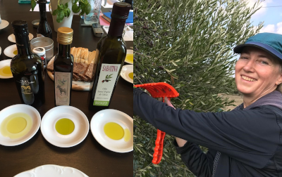 22. April: Das beste Olivenöl